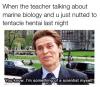 Something of a scientist